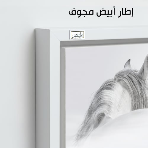 HR73 لوحة فنية معاصرة بالأبيض والأسود تصور رأس حصا...