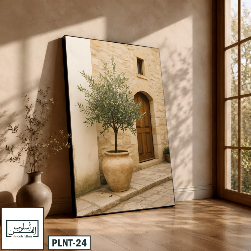 PLNT24 عتبة الزيتون