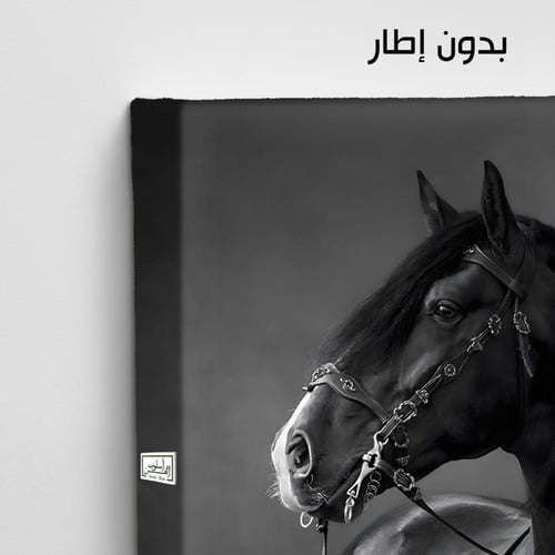 HR263 لوحة فنية أنيقة بالأبيض والأسود تصور حصاناً...