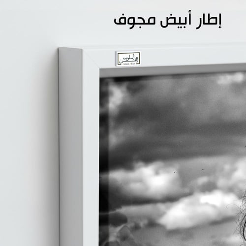 HR113 لوحة فنية بالأبيض والأسود تصور حصانًا أسودًا...