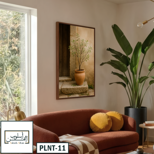 PLNT11 مدخل الزيتون