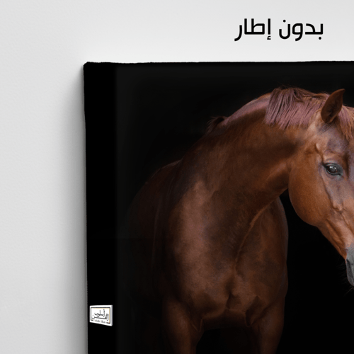 HR89 لوحة فنية معاصرة تصور رأس حصان عربي أصيل بلون...