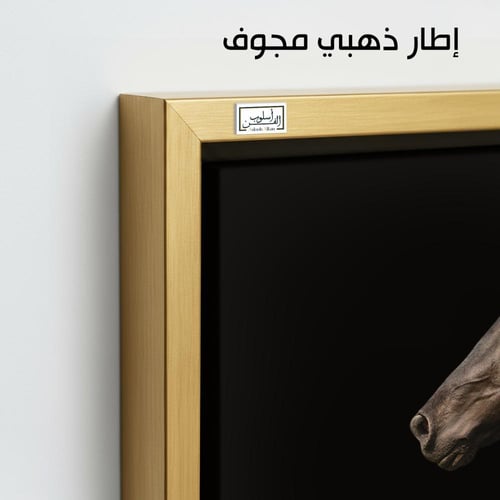 HR59 لوحة فنية معاصرة بالأبيض والأسود تصور رأس حصا...