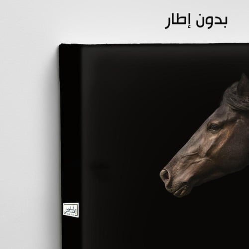 HR59 لوحة فنية معاصرة بالأبيض والأسود تصور رأس حصا...