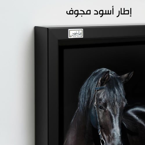 HR167 لوحة فنية واقعية تصور حصانًا أسود في ظلام دا...