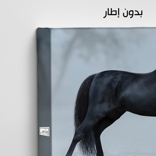 HR251 لوحة فنية معاصرة تصور حصاناً أسوداً يقف وسط...