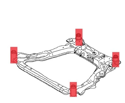 جلد كمر الامامي كوليوس