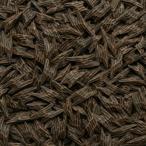 كمبودي تايقر ملكي