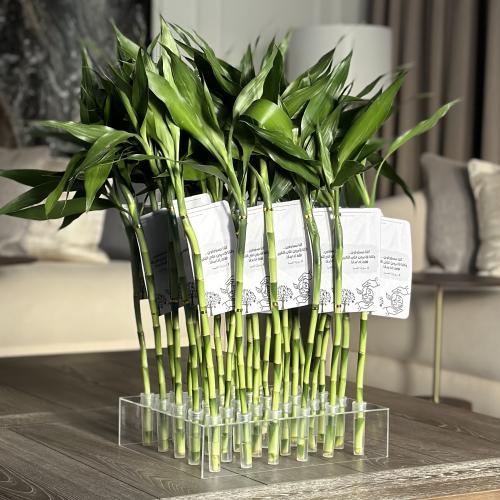 ستاند توزيعات ساق البامبو