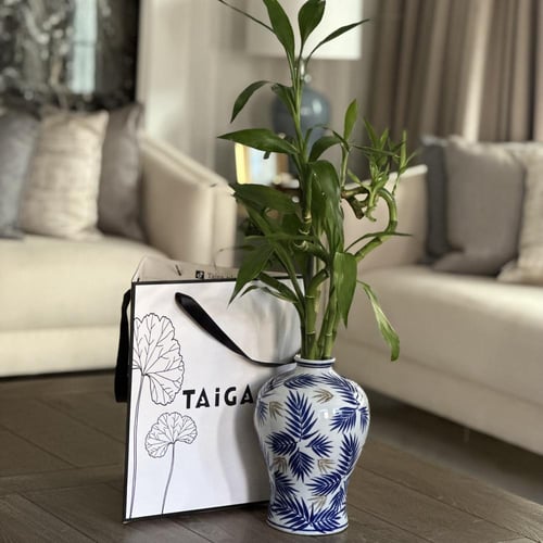 فازة سيراميك + بامبو متنوع