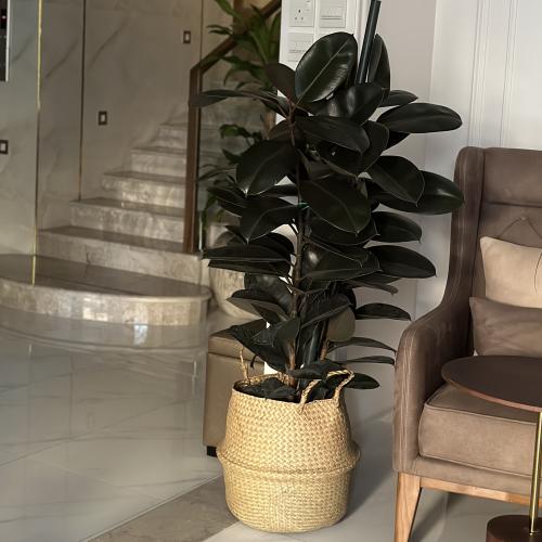 فيكس أبيدجان أحمر