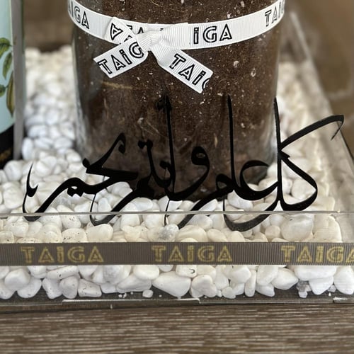 هدية فازة زاميا وسط + بوكس تشوكلت