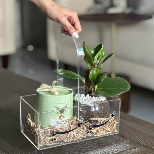 سلة نبات الببروميا + بوكس شوكلاتة