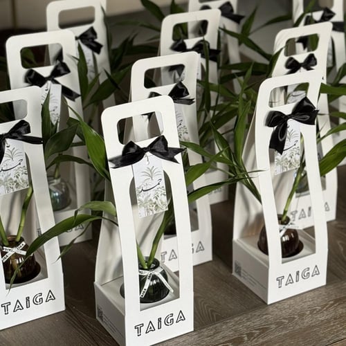 توزيعات بامبو بثيم مواليد