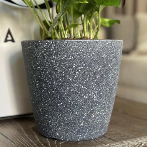 بوتس بأصيص بلاستيك