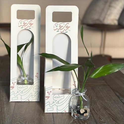 هولدر العيد بنبات البامبو