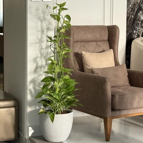 بوتس كبير بأصيص فايبر