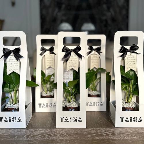 توزيعات بوتس حجم وسط