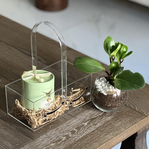 سلة نبات الببروميا + بوكس شوكلاتة