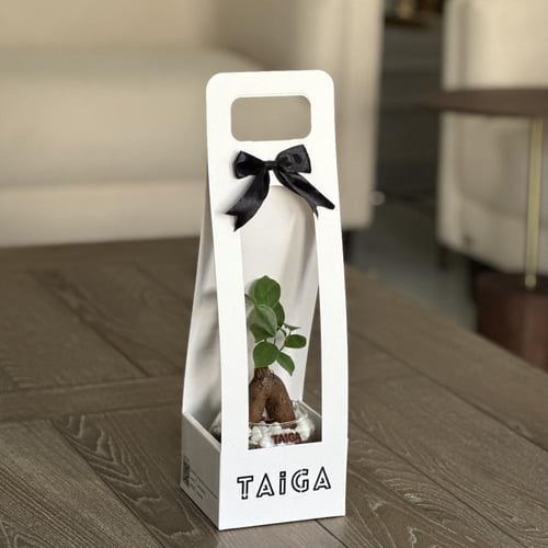 هولدر ميني بونساي