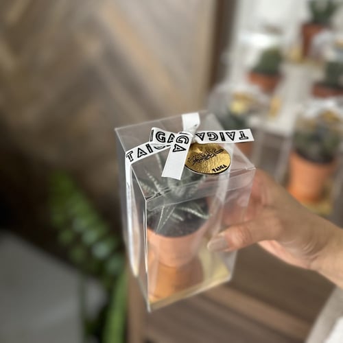 علب هدايا نباتات طبيعية