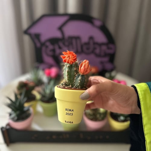 ستاند تخرج (15 فخاريات صباريات )