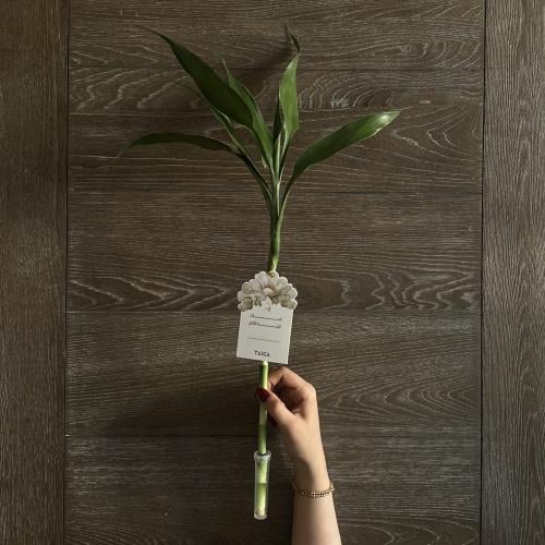 توزيعات بامبو تايلندي بتاق العيد