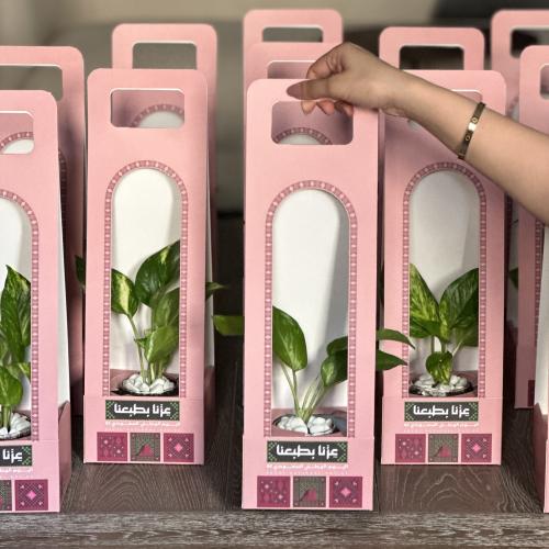 توزيعات بوتس اليوم الوطني