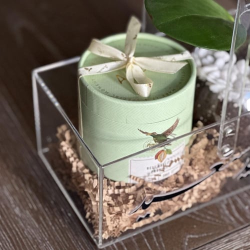 سلة نبات الببروميا + بوكس شوكلاتة