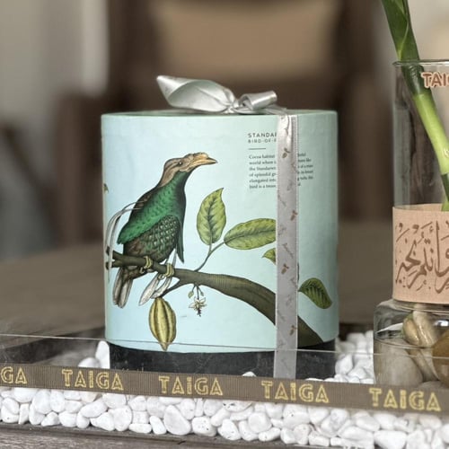 هدية فازة بامبو + بوكس تشوكلت