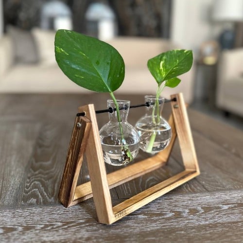 حامل خشبي بـفازتين بوتس مائي