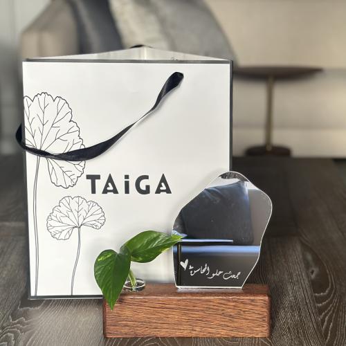 مرايا بقاعدة خشب طبيعي مع نبات البوتس