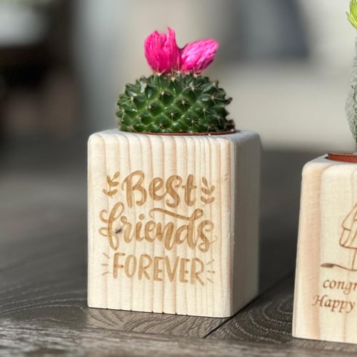 توزيعات الصبار الخشبيه (قابل للكتابة)