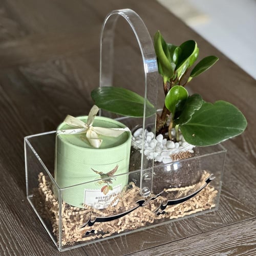 سلة نبات الببروميا + بوكس شوكلاتة