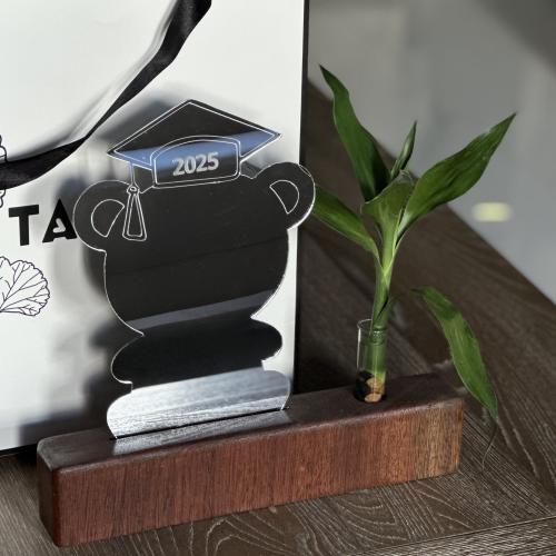 مرايا بقاعدة خشب طبيعي مع نبات البامبو