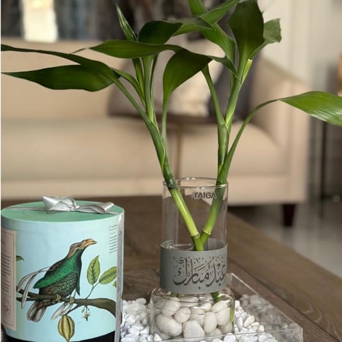 هدية فازة بامبو + بوكس تشوكلت