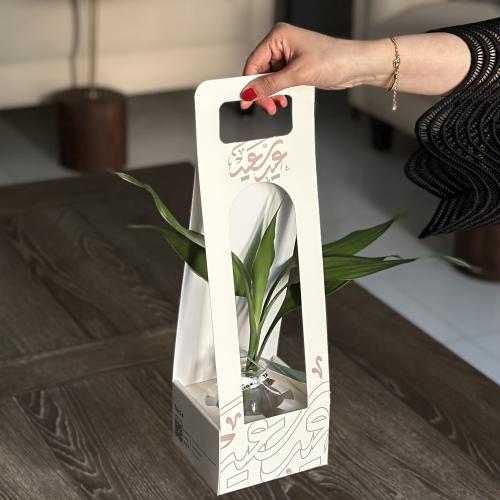 هولدر العيد بنبات البامبو