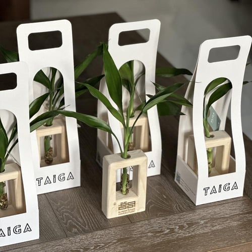 توزيعات ميني (خشب طبيعي مع اسم أو لوقو)