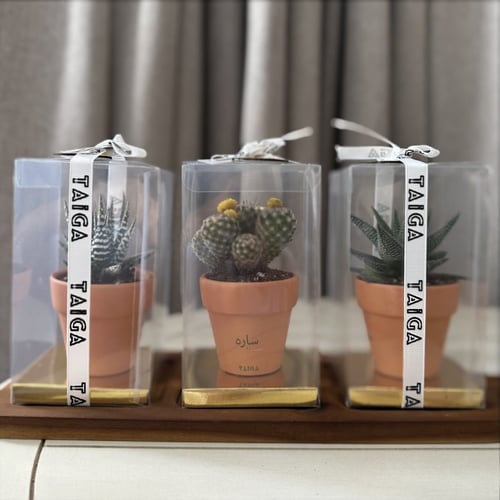علب هدايا نباتات طبيعية