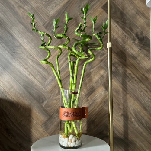 فازة بامبو مبروم + قطعة جلد