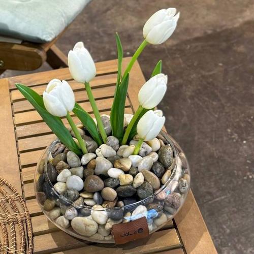 تنسيق توليب