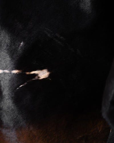 Jacket Croc & Cow Leather