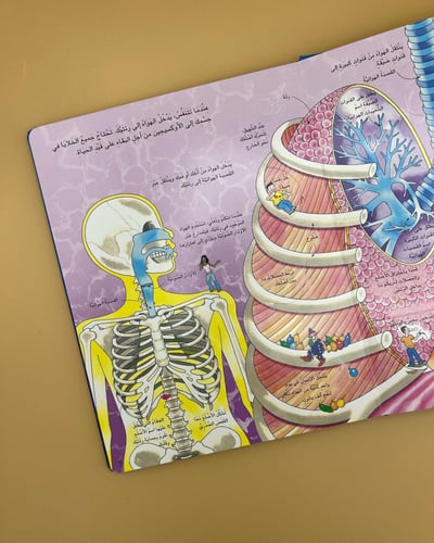 جسم الانسان