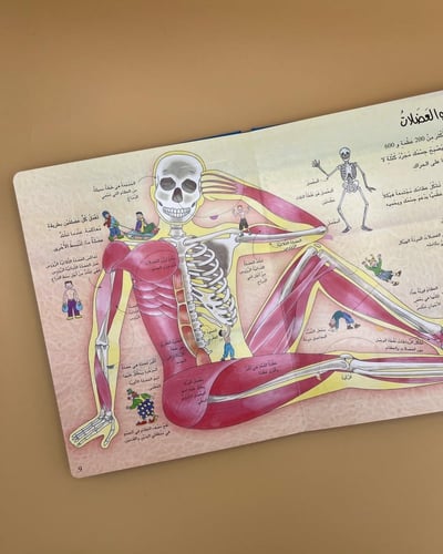 جسم الانسان