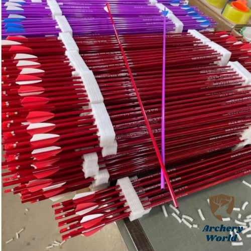 اسهم كربون صافي