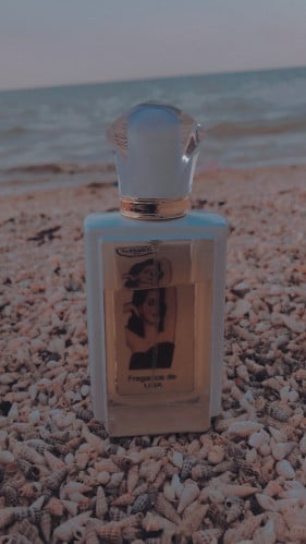 عطر ذا بالم النسائي الابيض اودو بارفيوم 90مل