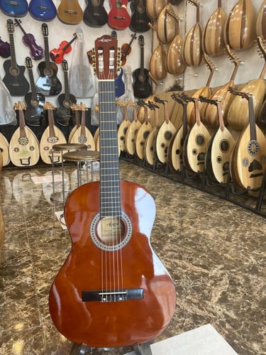 جيتار ايرسي كلاسيك بني