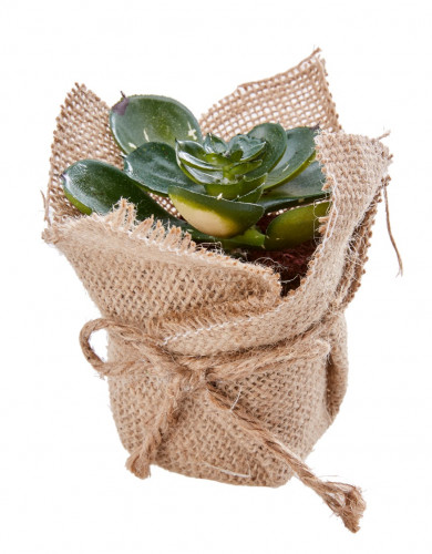 إناء مع نبتة Green