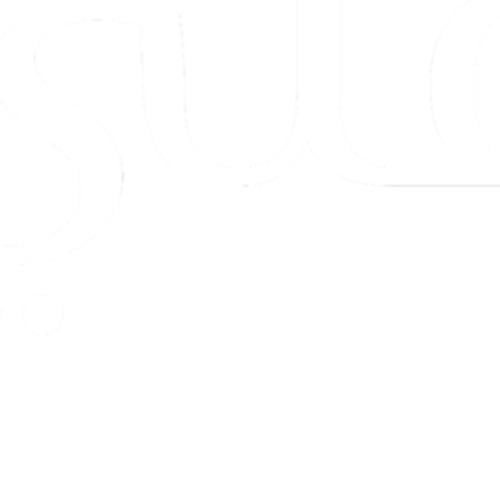 اكياس مع لوقو