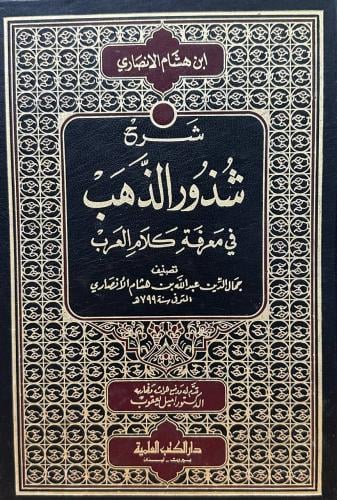شرح شذور الذهب في معرفة كلام العرب
